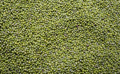 green mung bean as food background