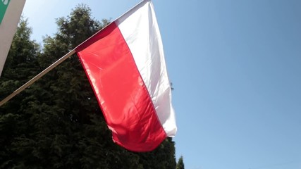 Polish Flag - Wave -  Constitution of 3 May 1791