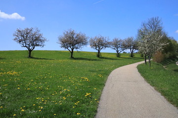 Frühling