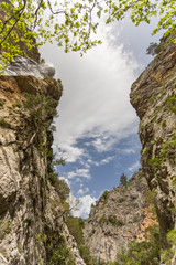 Vertical mountain landscape with copy space