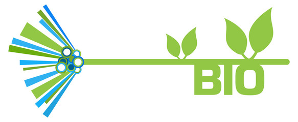 Bio Green Blue Graphical Element 