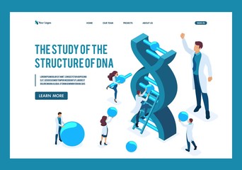 Isometric Scientists are investigating the DNA