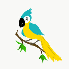 Macaw drawing style character