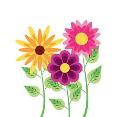 beautiful flowers naturals in branches and leafs