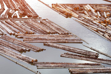 the image alloy logs river
