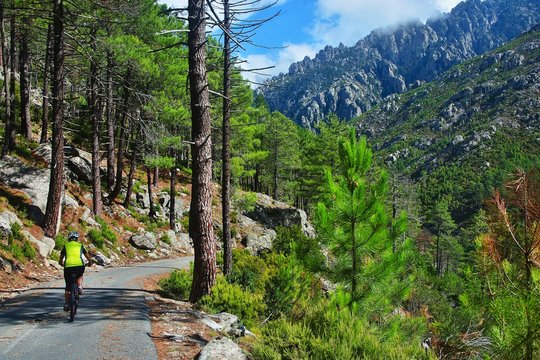 Corsica-cyclist on the way in pass Restonica
