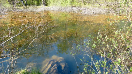 water, lake, nature, river, landscape, green, reflection, tree, blue, summer, sky, pond, rock, forest, stream, grass, sea, 