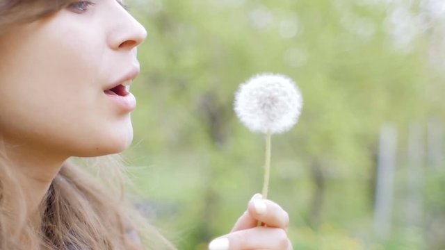 young beautiful woman blowing dandelion in the garden, rest and walk in spring, lovely girl on nature