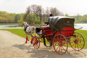 Fototapeta premium Coachman in cloak sits in coach with horse and hold reins in spring park