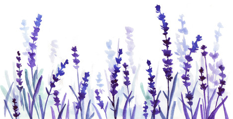 lavender watercolor banner. hand drawn illustration. flower field.