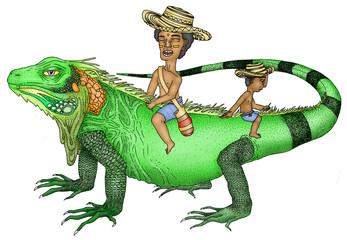 Iguana