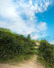 Footpath with Natural Three Step Stairs as If as Big Wide Blue Sky Is Destination. Green Shrub On The Side of Country Trail Road Path. Concept of Reaching Goal or End of Journey