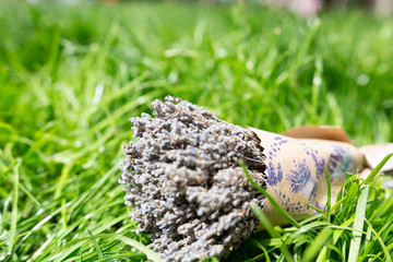 Lavender bouquet in paper packaging lying on the green grass. Horizontal orientation. Copy space. 