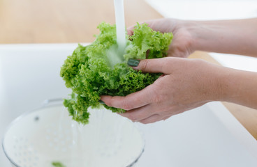 Woman hands washing fresh vegetables