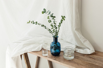 living room with Eucalyptus plant and blue bottle decorations at the daylight