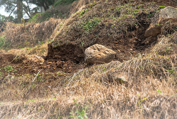 Landslide Cause By Soil Erosion Damage on Rice Terrace of Paddy Field. Overgrazing and Over Exploitation of Farming Land Become Unproductive