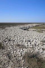 V&ouml;llig ausgetrockneter Erdboden einer Salzwiese im Deichvorland von Westerhever (Nordfriesland)
