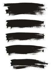 Calligraphy Paint Thin Brush Background High Detail Abstract Vector Background Set 36