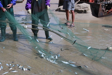 at the seaside Seine traditional fisherman catch a fish