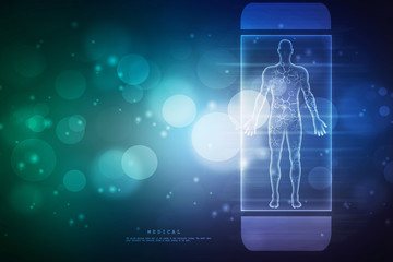 2d illustration Human Male Muscle Body