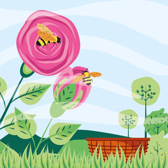 roses with bees in scene natural and basket wicker