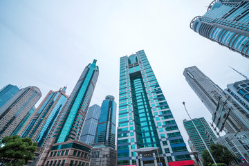 A cluster of tall buildings in the leaves