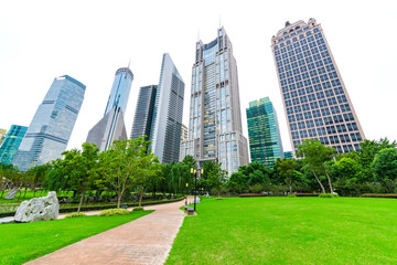 Obraz premium The grass in the garden after the group of high-rise buildings.