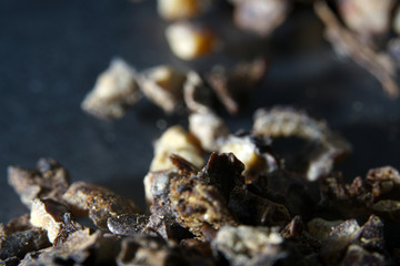 Dried herbs for seasoning spices in best studio quality photographed partly isolated against black background 
