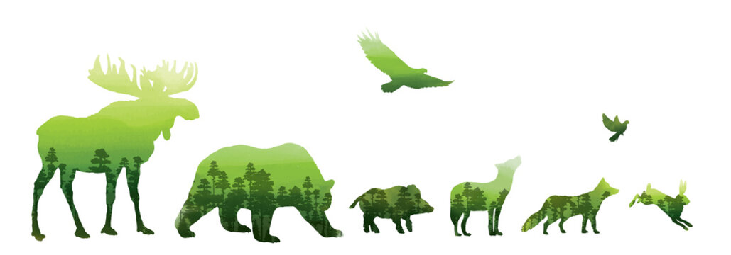 Wild forest animals silhouettes, eco concept, elements kit, basis graphics for design