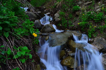beautiful waterfall with clear water on a mountain stream in the forest