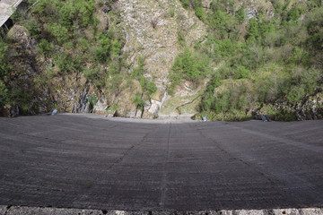 vagli