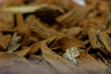 Dry  Quinine herb for medicine