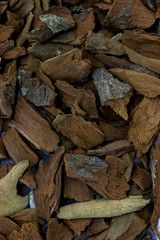 Dry  Quinine herb for medicine