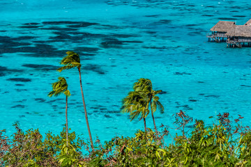 Lagon turquoise de l 'ile de Moorea