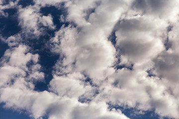 Clouds in the evening sunset.