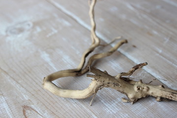 Dry branch on the background of boards