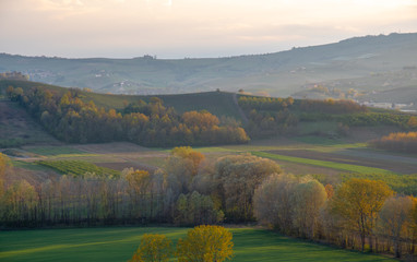 Obraz premium High angle, panoramic view of the vineyard hills of the Langhe region in Piedmont, become Unesco World Heritage Site since 2014, at sunset in springtime, Italy 