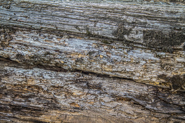 Wooden background - close up of old railroad ties