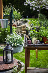 Spring garden scene with lantern and potted herbs