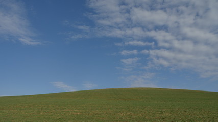 green field and blue sky