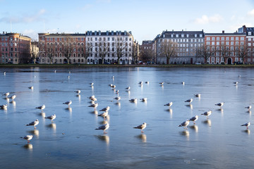 View over The Lakes in Copenhagen, Denmark