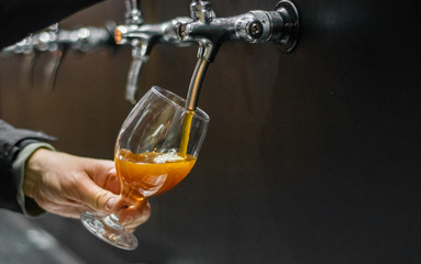 bartender hand at beer tap pouring a draught beer in glass serving in a restaurant or pub