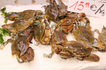 La Boqueria market in Barcelona. Seafood. National spanish traditions.
