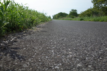 道
