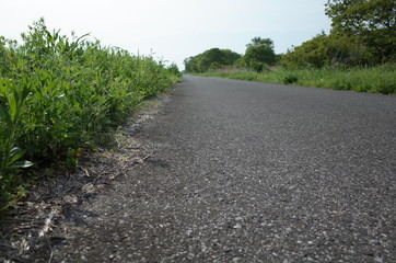 道