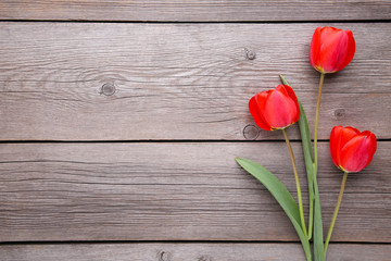 Red tulips on a grey wooden background.