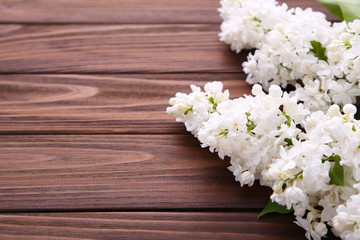 Fototapeta na wymiar White lilac flowers branch on brown background with sample text