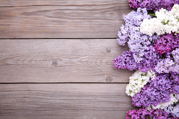 Lilac flowers branch on grey background with sample text, frame