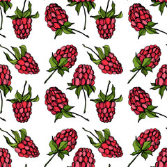 Vector Raspberry healthy food isolated. Red and green engraved ink art. Seamless background pattern.