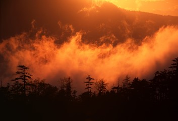 Fototapeta na wymiar 【群馬県】草津白根山の風景